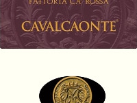 Diwinetaste.com recensisce il Barbera Cavalcaonte 2013