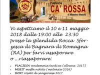 ROCCA SFORZESCA DI BAGNARA DI ROMAGNA (RA)