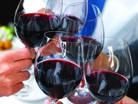 Appuntamento al Forlì Wine Festival dal 25 al 27 gennaio