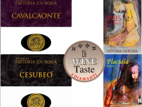 DiWineTaste 2024 premia con 4 diamanti 4 vini di Fattoria Ca' Rossa